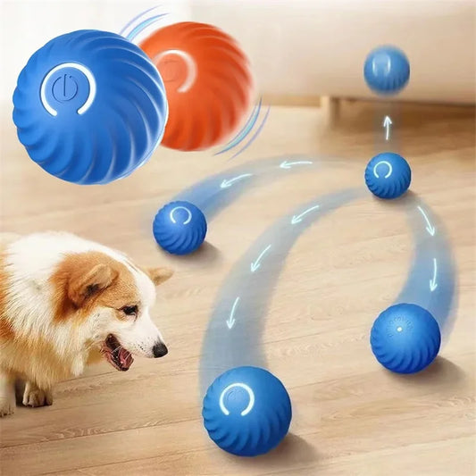 Interactive Pet Toy