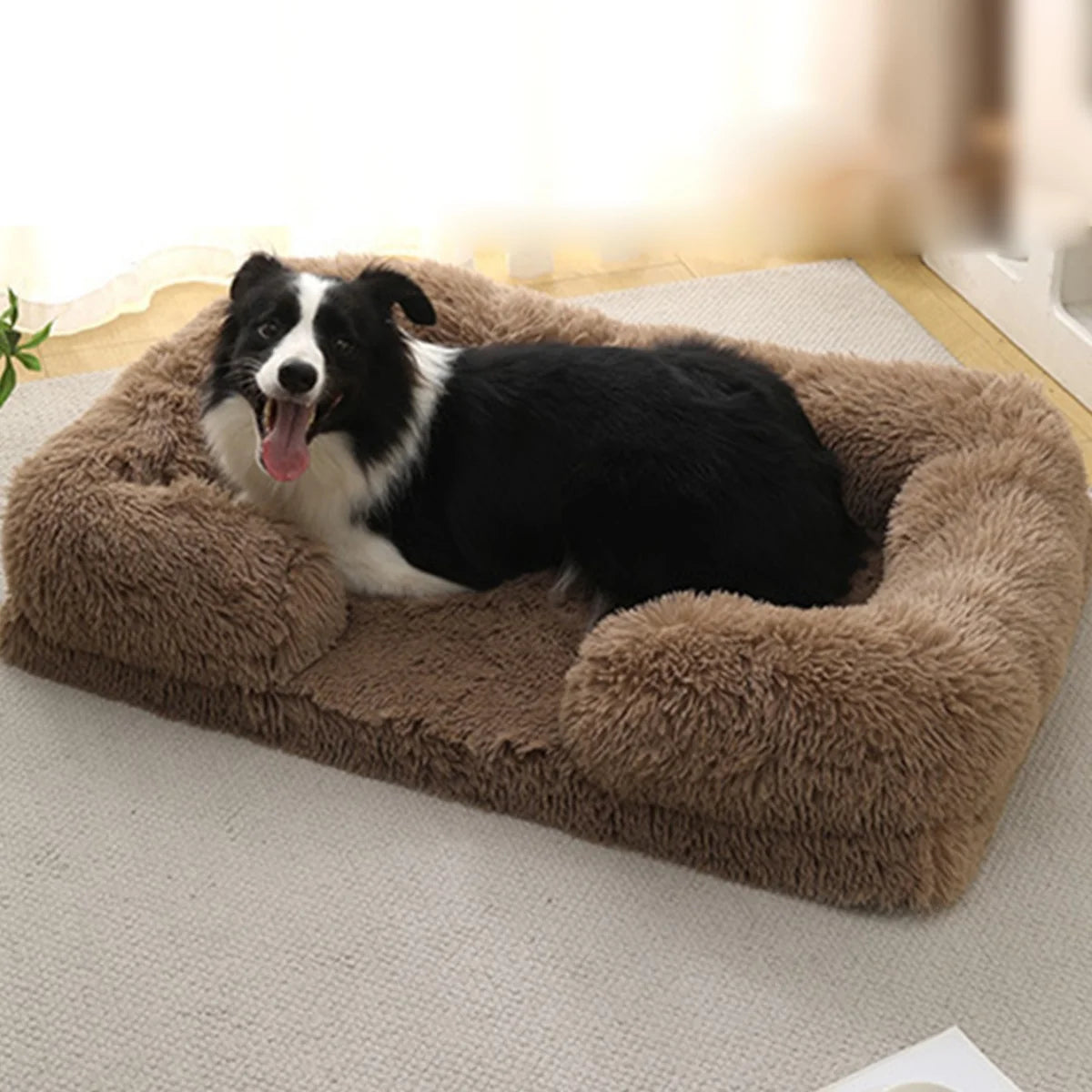 Large Dog Sofa Bed