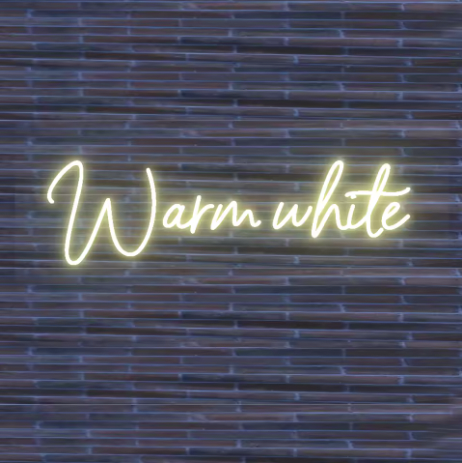 Custom Neon Sign