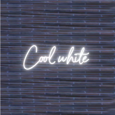 Custom Neon Sign