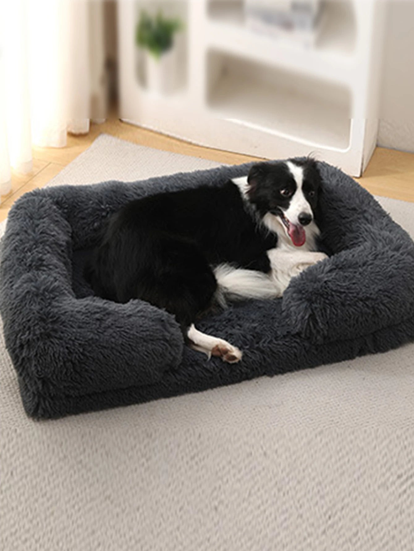 Large Dog Sofa Bed