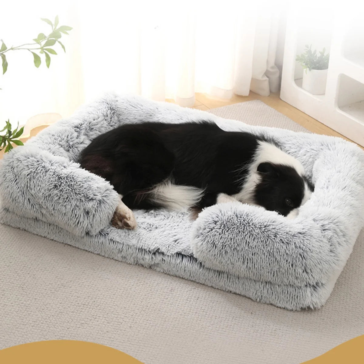 Large Dog Sofa Bed